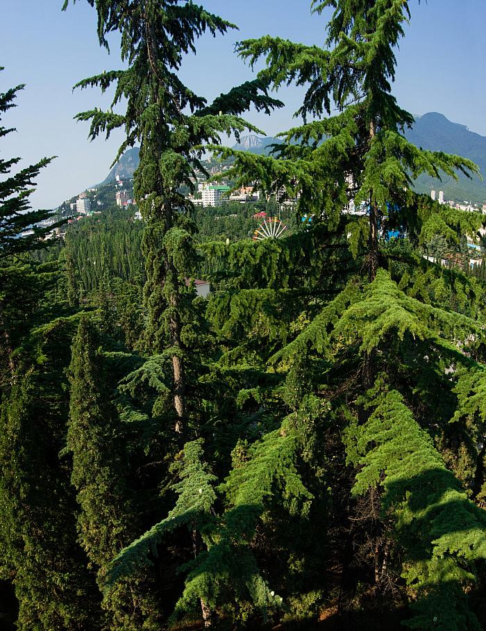 Отдых в Крыму с питанием Пансионат в Алуште цены